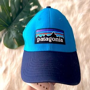 Patagonia, fitted hat